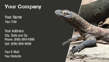 DS25-0419-1967