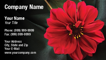 DS25-0419-4189