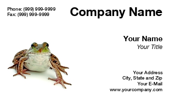 Animals | Domestic | Featured Designs | Nature |--| Amphibian | Animal | At103886 | Carolina Smith | Exotic Pets | Frog | Macro Photography | Pet | Pet Store | Reptile | Wildlife