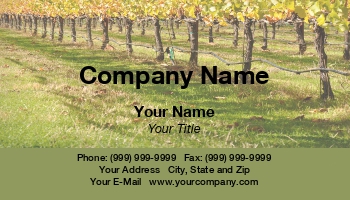 Creative | Featured Designs | Hospitality | Wine |--| At104027 | Brandon Bourdages | Business | Card | Fall | Grape | Grapes | Template | Vines | Vineyard | Wine Making | Winery