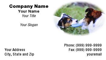 Featured Designs |--| At104674 | Blue | Bone | Dog | Dog Kennel | Dog Sitter | Dog Supplies | Dog Training | Dogs | Gillian Pathey-johns | Jack | Jack Russell | Jack Russell Terrier | Pet | Pets | Playing | Puppy | Rubber | Russell | Terrier | Tug | War