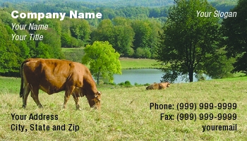 Farm | Featured Designs |--| Actually | At104680 | Beef | Breed | Cattle | Cow | Cows | Field | France | Gillian Pathey-johns | Grazing | Lake | Landscape | Popular | Ranch | Region | Woodland