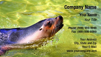Aquatic | Featured Designs |--| At105786 | Business | Card | Cloudia Newland | Fantastic | Lion | Marine Biologist | Marine Biology | Sea | Sea Lion | Seal | Template