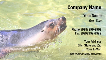 Animals | Aquatic | Featured Designs |--| At105787 | Australian | Breathe | Cloudia Newland | Lion | Sea | Surfacing