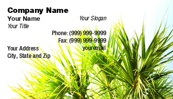 Featured Designs |--| Abstract | At106084 | Cindy Farmer | Palm | Palm Tree | Palm Trees | Palmetto | Photo | Tree | Tropical