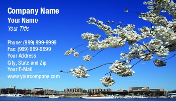 Americas | Cities | Featured Designs | Patriotic | Professional | Travel | Washington |--| American | American Landmark | Americana | At106859 | Blossom | Blossoms | Business | Businesses | Card | Celebrations | Cherry | Cherry Blossoms | Cherry Tree | Cherry Trees | Columbia | Dc | Designed | District | District Of Columbia | Festival | Landmarks | Michael Thompson | Organizations | Related | Seeing | Sight | Template | Tourism | Washington Dc