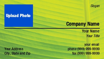 Featured Designs |--| At108704 | Eco-friendly | Ecology | Environmental | Environmental Science | Green | Photo Card | Photo Cards | Photocard | Photocards | Tim Mainiero