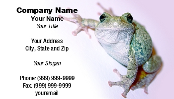 Animals | Domestic | Featured Designs |--| Amphibian | Amphibious | At109146 | Cute | Ecology | Frog | Gray | Martin J Bangemann | Pet | Pet Store | Sitting | Staring | Tree | Tree Frog | Wall