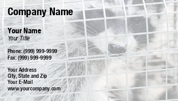 Featured Designs |--| Alice Day-ef | At111082 | Caught | Humane | Raccoon | Trap | Trapper | Trapping | Wildlife Removal
