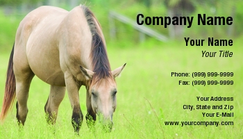 Featured Designs |--| At111217 | Black | Brown | Equestrian | Equine | Farrier | Grass | Grazing | Horse | Image | Interests | Late | Lee Barnwell | Mane | Summer | Suppliers | Tall | Template | Trainers | Used