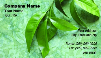 Featured Designs |--| Alice Day-ef | At111523 | Background | Citrus | Different | Environmental Consultant | Fabric | Fresh | Green | Leaves | Linens | Seen | Shades