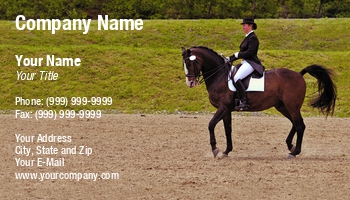 Featured Designs |--| At110299 | Competition | Dressage | Equestrian | Hamiza Bakirci | Horse | Horse Riding | Horse Trainer | Horseback Riding | Horsemanship | Sport | Suitable | Trainers