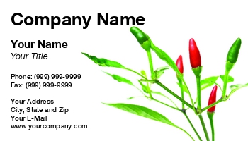 Featured Designs | Hospitality | Mexican Restaurant | Restaurants |--| At113286 | Background | Chili | Chili Peppers | Hot | Isolated | Issues | Peppers | Plant | Represent | Sinisa Botas | Spices | Spicy | Vegetables | White