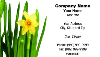 Featured Designs | Floral | Nature |--| Amateur | Arranged | Arranger | At115263 | Background | Brilliant | Business | Card | Clean | Crisp | Daffodil | Details | Dynamic | Florist | Flower | Gardener | Gives | Image | Impression | Isolated | Leaves | Minature | Nicely | Personal | Plenty | Professionalism | Room | Shows | Simply | Single | Steve Heap | Style | Surrounding | White