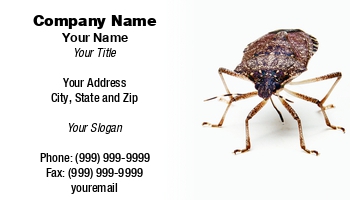 Featured Designs | Trades |--| At115270 | Bug | Bugs | East | Increasing | Natural | Neighborhoods | North | Predators | Problem | Shield | Steve Heap | Stink | Stink Bug | Usa