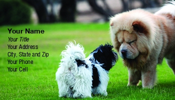 Featured Designs |--| At115576 | Dog Handler | Judy Ben Joud | Pet Sitting Service | Yorkshire Terrier