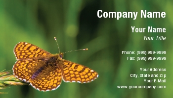 Featured Designs | Nature |--| At110600 | Background | Blurry | Butterfly | Green | Orange | Rolland
