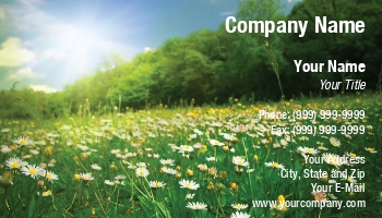 Featured Designs |--| At110604 | Daisies | Ecology | Green | Prairie | Rolland