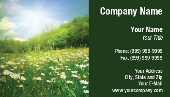 Featured Designs |--| At110615 | Beautiful | Daisies | Ecology | Prairie | Rolland | Sun | Winter