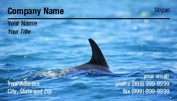 Featured Designs | Nature | Ocean |--| Astrid Van Der Eerden | At116450 | Dolphin | Marine Biologist | Marine Biology | Surfacing