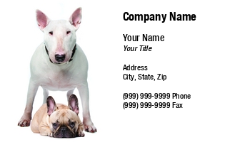 Featured Designs |--| At116717 | Bull | Bulldog | Dog | Dog Breeder | Dog Care | Dog Handler | Dog Photography | Dog Sitter | Dog Sitting | Erik Lam | Frnch | Pet Photography | Terrier