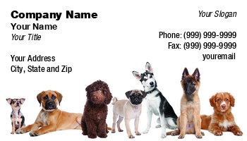 Animals | Featured Designs | Veterinarian |--| Alaska | At116720 | Background | Belgium | Blue | Breed | Brown | Chihuahua | Dog | Dog Boarding | Dog Breeder | Dog Care | Dog Daycare | Dog Handler | Dog Kennel | Dog Photography | Dog Sitting | Duck | Erik Lam | Group | Isolated | Labradoole | Left | Malamute | Mastiff | Medium | Merle | Mixed | Nova | Pet Photography | Pet Sitting Service | Pet Store | Pug | Puppies | Retriever | Right | Scotia | Shepherd | Tolling | White