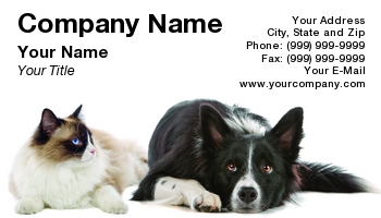 Animals | Featured Designs | Veterinarian |--| At116725 | Cat | Dog | Erik Lam | Pet | Pet Store | Pets | Veterinary Assistant | Veterinary Technician