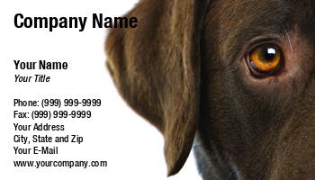 Featured Designs |--| At116726 | Dark Brown Lab | Dog | Dog Breeder | Dog Hostel | Dog Sitting | Dog Trainer | Erik Lam | Labrador | Labrador Retriever | Pet Shop | Retriever