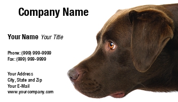Featured Designs |--| At116737 | Brown | Card | Dark | Dark Brown Lab | Dog | Dog Care | Dog Hospital | Dog Hostel | Dog Sitting | Dog Trainer | Erik Lam | Head | Labrador | Labrador Retriever | Left | Pet Food | Pets | View