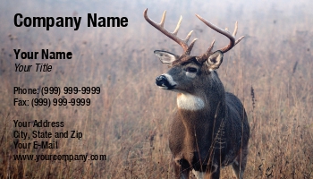 Featured Designs | Wild |--| At116748 | Bruce Macqueen | Deer | Guide Service | Trophy Hunting | Whitetail Deer