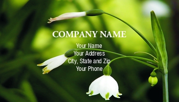 Featured Designs | Floral | Nature |--| At116984 | Bloom | Bud | Card | Drop | Fade | Final | Flower | Great | Harbingers | Image | Life | Masseuse | Patricia Fatta | Photo | Shows | Snow | Spas | Spring | Stages | Therapists