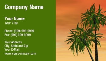 Featured Designs | Professional | Travel |--| At116985 | Card | Gold | Illustration | Industry | Pair | Palm | Palm Trees | Paradise | Patricia Fatta | Reddish | Relaxing | Sky | Spas | Sunset | Trees | Tropical