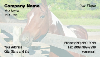 Animals | Featured Designs | Veterinarian |--| At110751 | Brown | Cindy Farmer | Equestrian | Equine | Farrier | Fence | Horse | Horse Trainer | Pasture | Standing | Tack | Used | Vet | White | Wooden