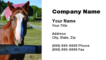 Animals | Featured Designs | Veterinarian |--| At110753 | Background | Barn | Blue | Bright | Brown | Cindy Farmer | Equestrian | Equine | Farrier | Fence | Horse | Horse Racing | Horse Trainer | Pasture | Red | Sky | Standing | Tack | Used | Vet | White | Wooden