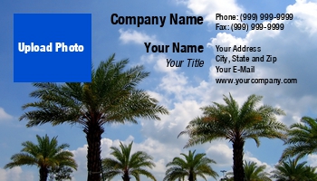 Beach | Featured Designs | Nature | People | Professional | Travel |--| At117146 | Blue | Fun | Leisure | Palm | Palm Trees | Paradise | Relaxation | Resort | Resorts | Seen | Shi Yali | Sky | Trees | Tropical | Vacation