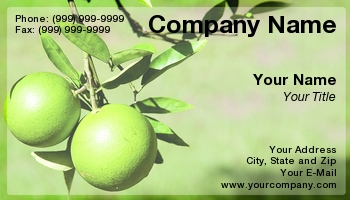 Featured Designs | Professional | Sales |--| Agricultural Product | At117343 | Citrus | Companies | Florida | Grove | Image | Interests | Lee Barnwell | Nurseries | Owners | Ripening | Template | Tree | Used
