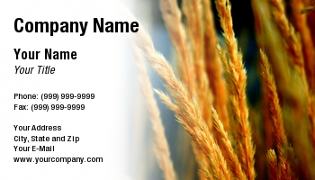 Featured Designs | Nature |--| At117670 | Autumn | Background | Blue | Close | Golden | Grass | Grass Seed | Macro Photography | Photo | Stalks | Timothy Mcbroome