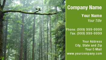 Featured Designs | Nature |--| At117713 | Early | Forest | Light | Logging | Misty | Morning | Redwood | Redwoods | Timber | Timothy Mcbroome | Trees