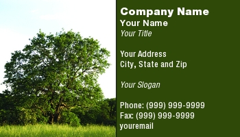 Featured Designs | Landscaping | Trades | Tree Trimmer |--| At117848 | Beautiful | Blue | Bright | California | Fills | Foreground | Frames | Grass | Green | Light | Lighted | Oak | Sky | Sunset | Timothy Mcbroome | Tree | Valley | Warm
