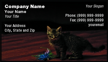Featured Designs |--| Animal Care | At118192 | Cat | Cute | Floor | Gray | Kitten | Striped | Sweet | Timothy Mcbroome | Toy | Wood