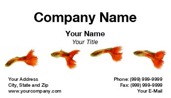 Featured Designs |--| At118369 | Background | Beautiful | Body | Card | Creating | Differing | Divider | Fin | Guppy | Male | Postitions | Red | Sue Mcdonald | Tropical Fish Servicing | White