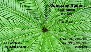 Featured Designs | Garden | People | Professional | Sales | Trades |--| At118387 | Fern | Green | Horticultural | Horticulturist | Jack Schiffer | Nursery | Plant | Plant Nursery | Representatives | Tropical Plant