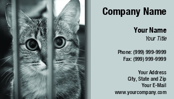 Featured Designs |--| Animal Shelter | At118789 | Background | Cat | Grey | Light | Sue Mcdonald | Tabby