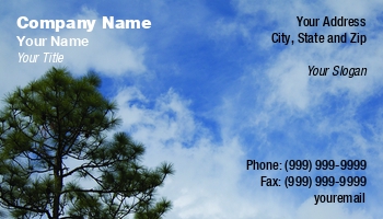 Featured Designs |--| At119407 | Environmental | Lee Barnwell | Pine | Tree Trimming