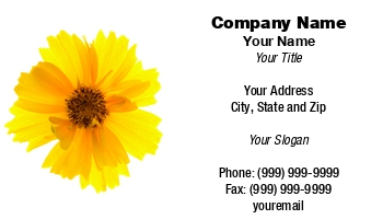 Featured Designs | Floral | Nature |--| Alexey Stiop | At119998 | Background | Daisy | Isolated | White | Yellow