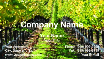 Featured Designs | Hospitality | Wine |--| At120150 | Brandon Bourdages | California | Grape Vine | Grapes | Grapevine | Industry | Napa | Oenology | Used | Valley | Vineyard | Viticulture | Winery