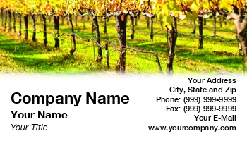 Featured Designs | Hospitality | Wine |--| Agriculture | At120177 | Autumn | Brandon Bourdages | California | Fall | Grapes | Grown | Oenology | Vine | Vineyard | Viticulture | Wine Making | Winery