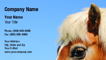 Featured Designs |--| Anna Vermeulen | At121163 | Blaze | Blue | Breeding | Brown | Fragment | Golden | Head | Horse | Horse Racing | Mane | Riding | School | Sky | Stables | Useful | White