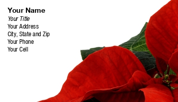 Christmas | Featured Designs | Floral | Holiday | Nature | Potpourri |--| At122441 | Card | Florist | Flower | Grower | Holiday | Horticulturist | Horticulurist | Lovely | Makes | Nigel Spooner | Photograph | Poinsetta | Poinsettia | Red Flower | Striking