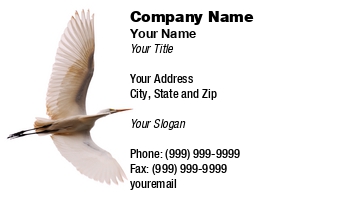 Featured Designs |--| At122709 | Background | Beautiful | Bird | Egret | Flight | Great | Great White Egret | John J. Henderson | Spread | Underside | View | White | Wings